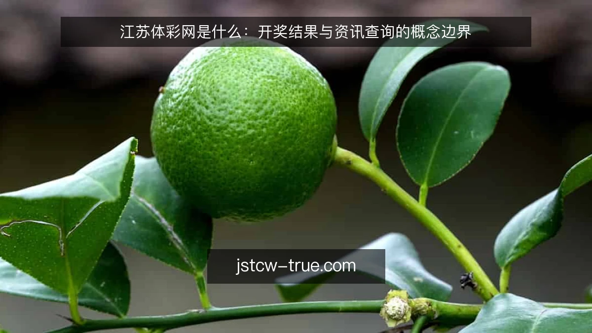 江苏体彩网是什么：开奖结果与资讯查询的概念边界